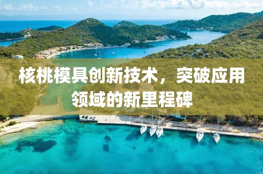 核桃模具创新技术，突破应用领域的新里程碑