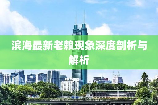 滨海最新老赖现象深度剖析与解析