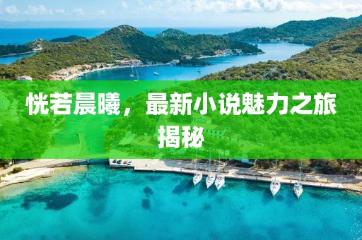 恍若晨曦，最新小说魅力之旅揭秘