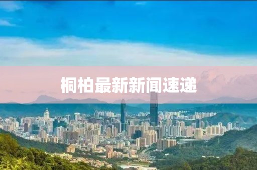 桐柏最新新闻速递