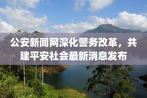 公安新闻网深化警务改革，共建平安社会最新消息发布
