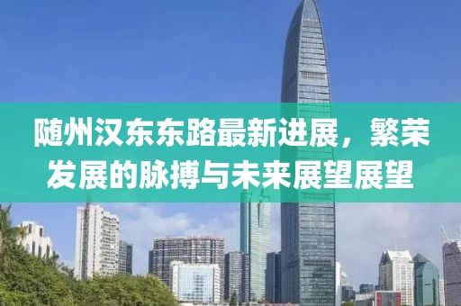 随州汉东东路最新进展，繁荣发展的脉搏与未来展望展望
