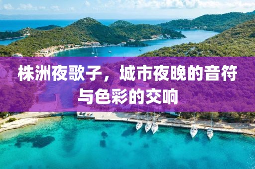 株洲夜歌子，城市夜晚的音符与色彩的交响