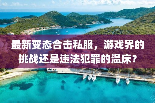 最新变态合击私服，游戏界的挑战还是违法犯罪的温床？