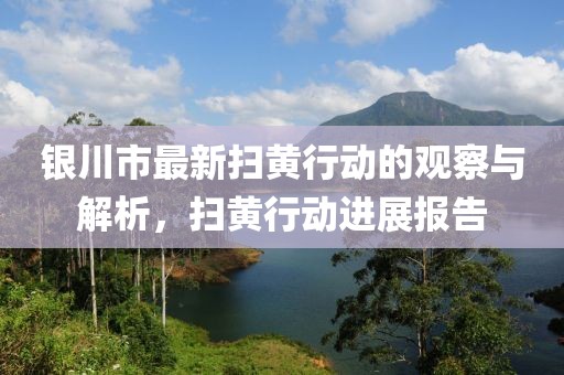 银川市最新扫黄行动的观察与解析，扫黄行动进展报告