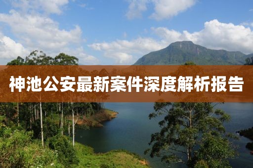 神池公安最新案件深度解析报告