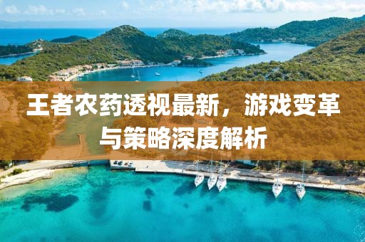王者农药透视最新，游戏变革与策略深度解析