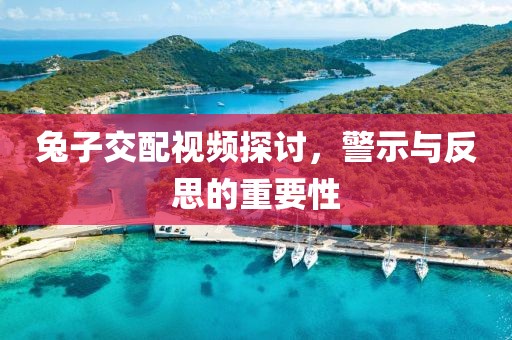 兔子交配视频探讨，警示与反思的重要性