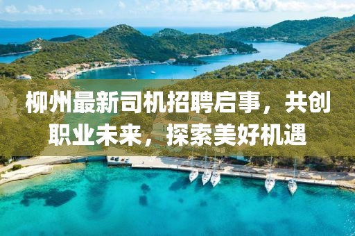 柳州最新司机招聘启事，共创职业未来，探索美好机遇