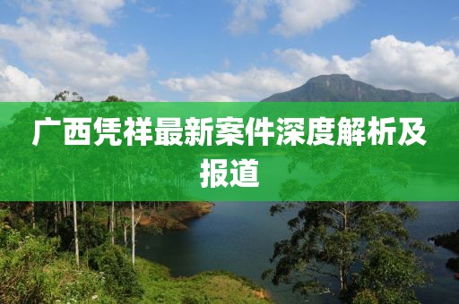 广西凭祥最新案件深度解析及报道