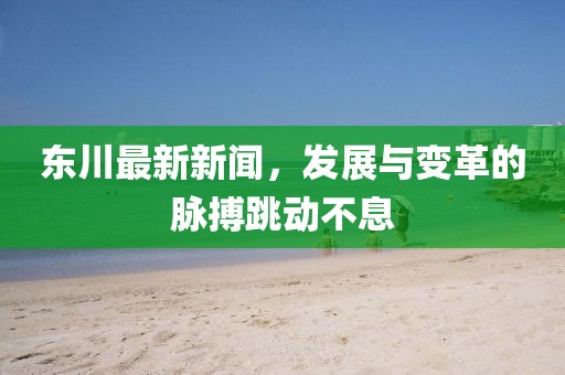 东川最新新闻，发展与变革的脉搏跳动不息