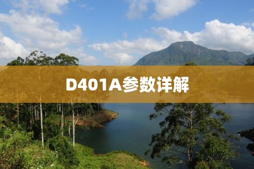 D401A参数详解