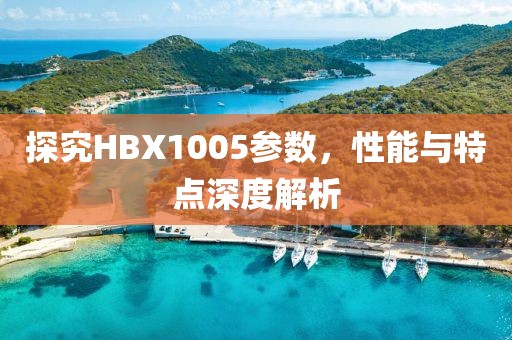 探究HBX1005参数，性能与特点深度解析