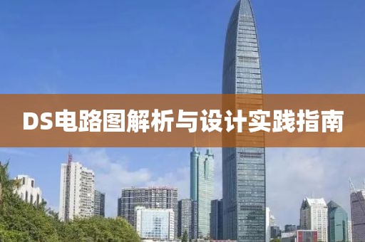 DS电路图解析与设计实践指南