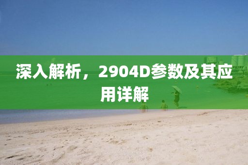 深入解析，2904D参数及其应用详解