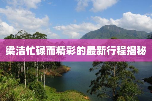 梁洁忙碌而精彩的最新行程揭秘