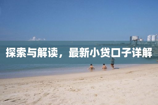 探索与解读，最新小贷口子详解