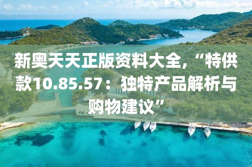 新奥天天正版资料大全,“特供款10.85.57：独特产品解析与购物建议”