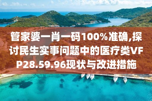 管家婆一肖一码100%准确,探讨民生实事问题中的医疗类VFP28.59.96现状与改进措施
