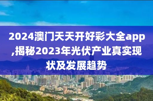 2024澳门天天开好彩大全app,揭秘2023年光伏产业真实现状及发展趋势