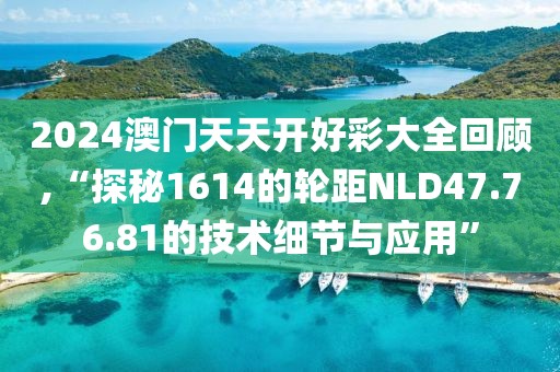 2024澳门天天开好彩大全回顾,“探秘1614的轮距NLD47.76.81的技术细节与应用”