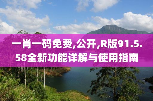 一肖一码免费,公开,R版91.5.58全新功能详解与使用指南