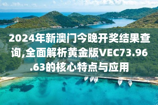 2024年新澳门今晚开奖结果查询,全面解析黄金版VEC73.96.63的核心特点与应用