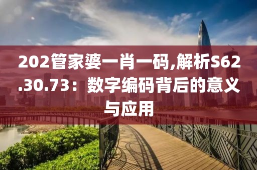 202管家婆一肖一码,解析S62.30.73：数字编码背后的意义与应用