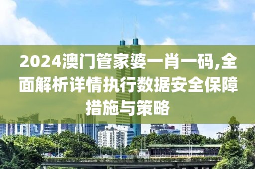 2024澳门管家婆一肖一码,全面解析详情执行数据安全保障措施与策略