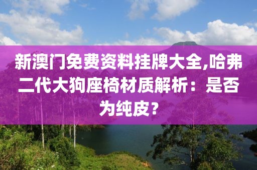 新澳门免费资料挂牌大全,哈弗二代大狗座椅材质解析：是否为纯皮？