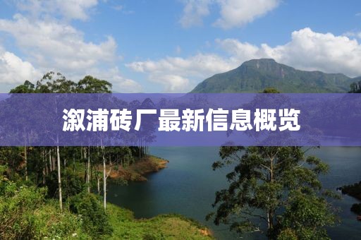 溆浦砖厂最新信息概览