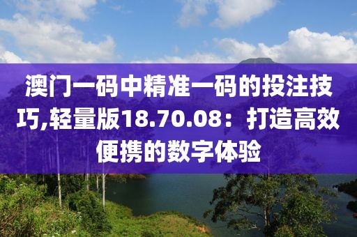 澳门一码中精准一码的投注技巧,轻量版18.70.08：打造高效便携的数字体验