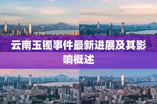 云南玉镯事件最新进展及其影响概述