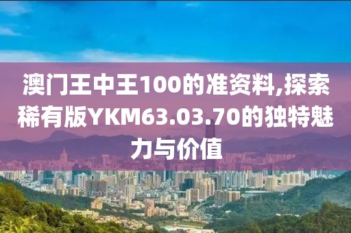 澳门王中王100的准资料,探索稀有版YKM63.03.70的独特魅力与价值