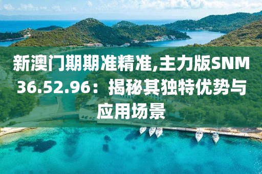 新澳门期期准精准,主力版SNM36.52.96：揭秘其独特优势与应用场景