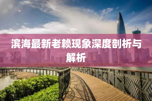 滨海最新老赖现象深度剖析与解析