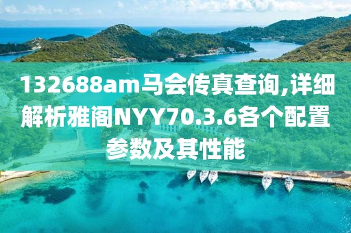 132688am马会传真查询,详细解析雅阁NYY70.3.6各个配置参数及其性能