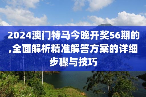 2024澳门特马今晚开奖56期的,全面解析精准解答方案的详细步骤与技巧