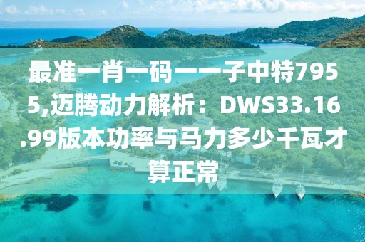 最准一肖一码一一子中特7955,迈腾动力解析：DWS33.16.99版本功率与马力多少千瓦才算正常