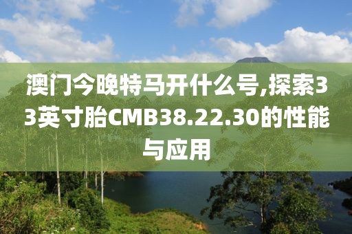 澳门今晚特马开什么号,探索33英寸胎CMB38.22.30的性能与应用