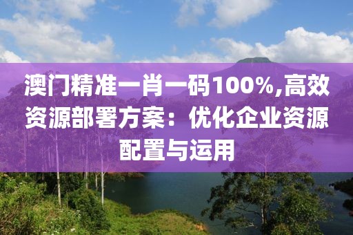 澳门精准一肖一码100%,高效资源部署方案：优化企业资源配置与运用