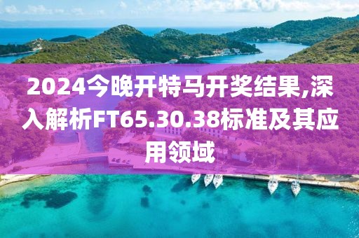 2024今晚开特马开奖结果,深入解析FT65.30.38标准及其应用领域
