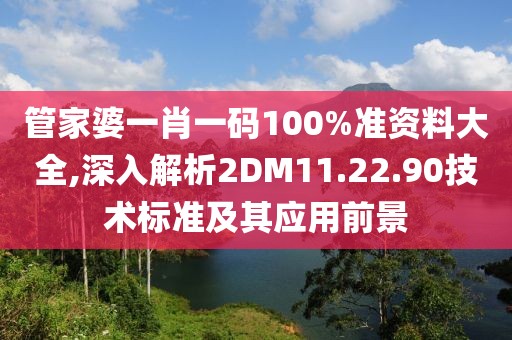 管家婆一肖一码100%准资料大全,深入解析2DM11.22.90技术标准及其应用前景