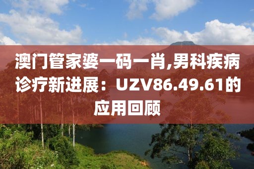 澳门管家婆一码一肖,男科疾病诊疗新进展：UZV86.49.61的应用回顾