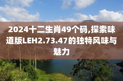 2024十二生肖49个码,探索味道版LEH2.73.47的独特风味与魅力