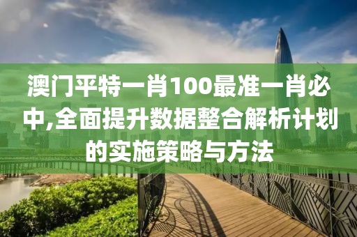 澳门平特一肖100最准一肖必中,全面提升数据整合解析计划的实施策略与方法
