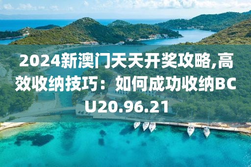 2024新澳门天天开奖攻略,高效收纳技巧：如何成功收纳BCU20.96.21