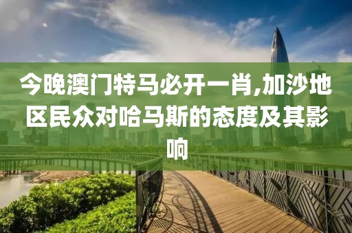 今晚澳门特马必开一肖,加沙地区民众对哈马斯的态度及其影响