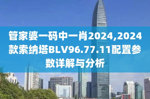 管家婆一码中一肖2024,2024款索纳塔BLV96.77.11配置参数详解与分析