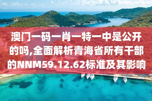 澳门一码一肖一特一中是公开的吗,全面解析青海省所有干部的NNM59.12.62标准及其影响